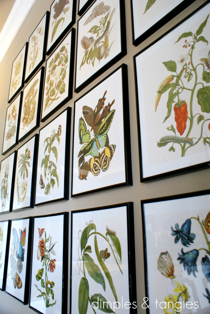 Botanical Gallery Wall Dimples And Tangles