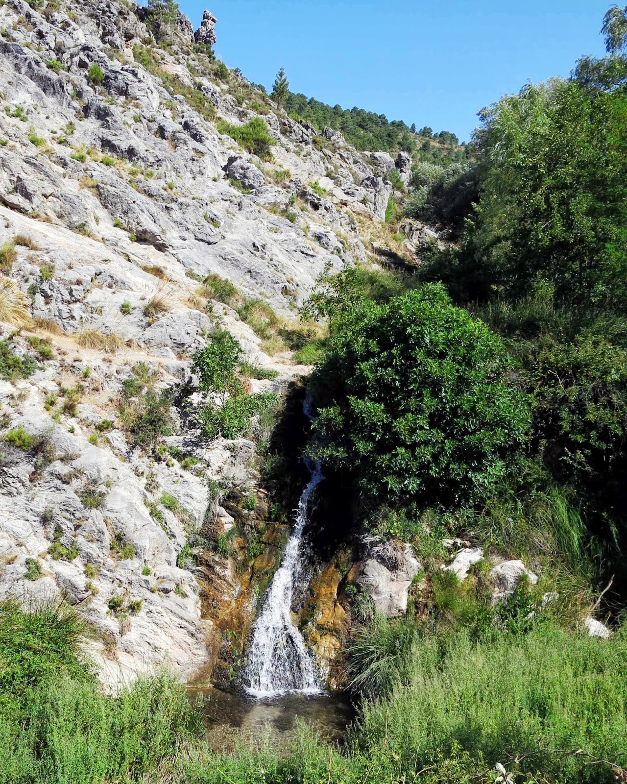 Foto de Nacimiento del Río Darro en Huétor de Santillán, Granada