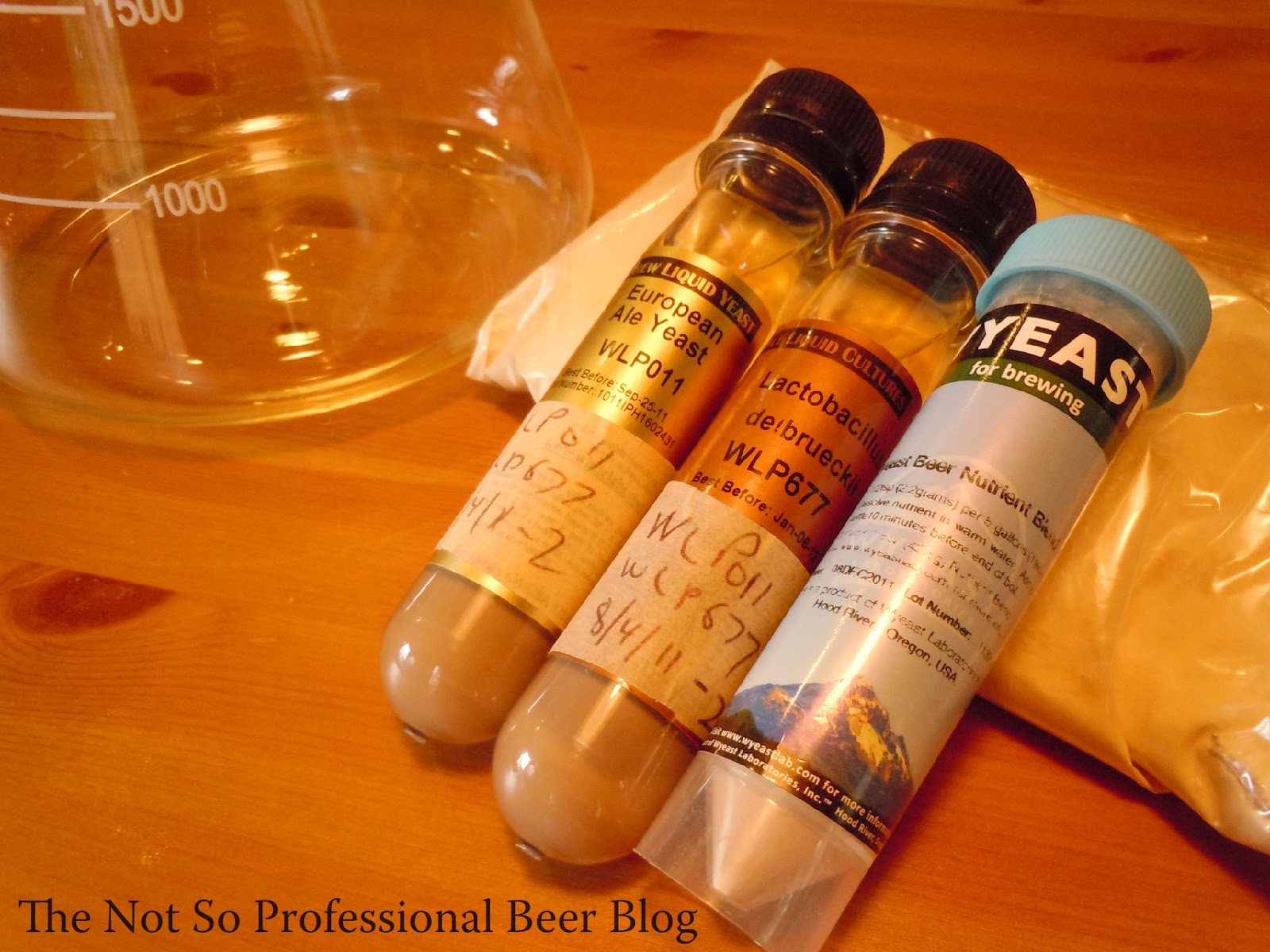 The Not So Professional Beer Blog Making a Yeast Starter