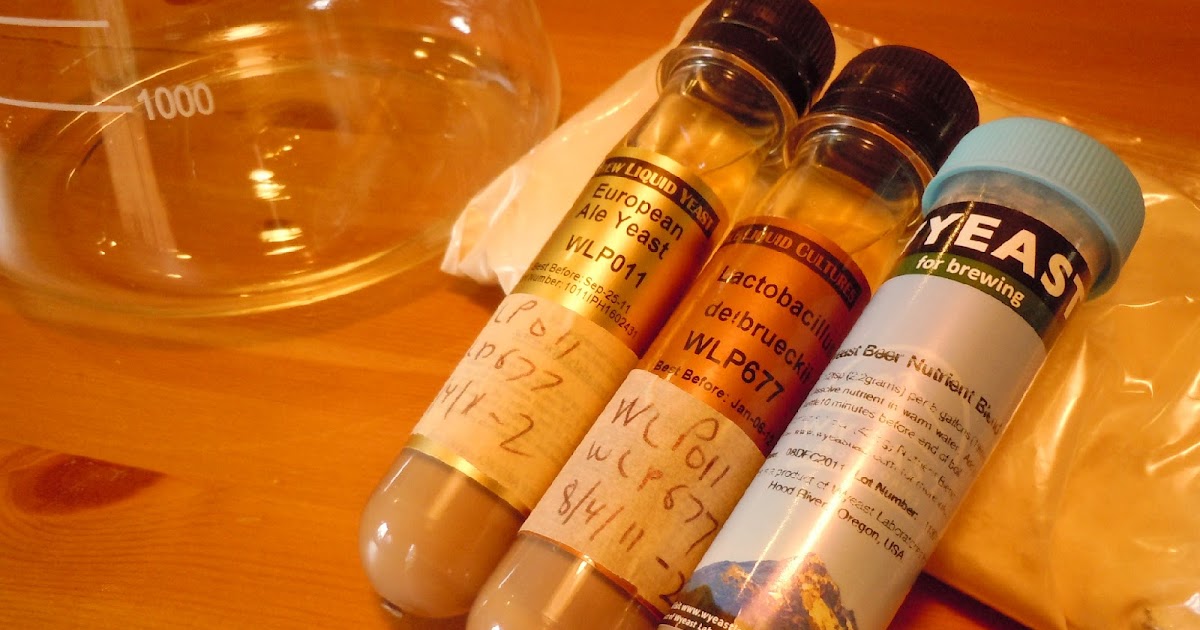 The Not So Professional Beer Blog Making a Yeast Starter