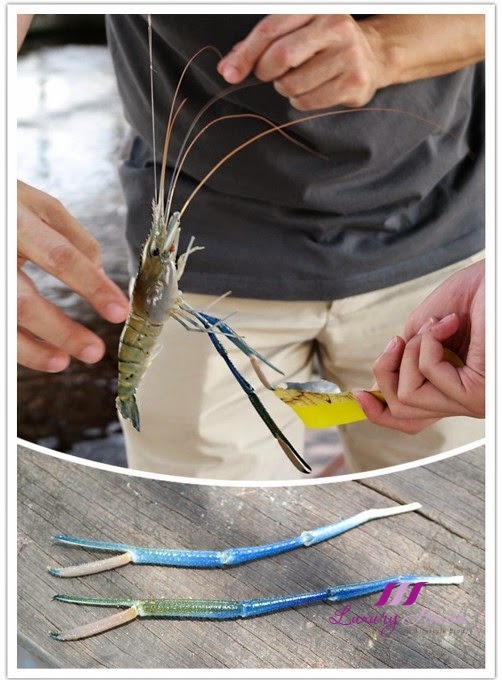 Prawning at Kranji Farm Resort, Fun Recreational Fishing