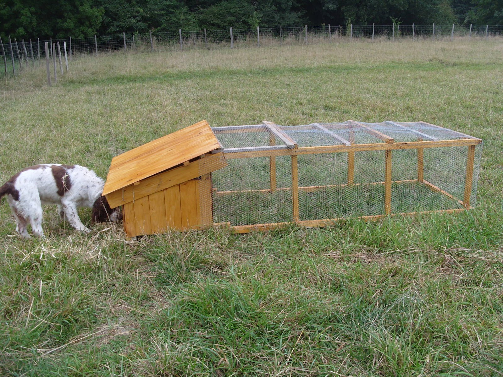 Snippets from me Lester builds a rabbit hutch