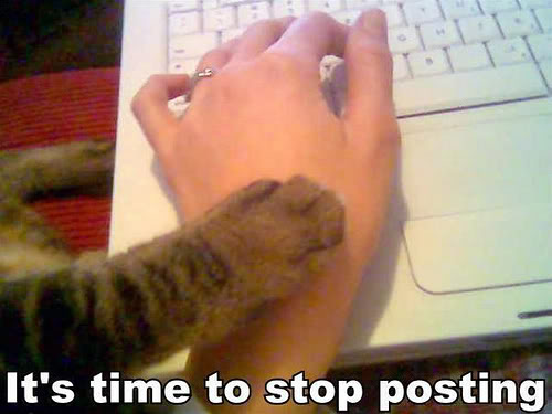 its-time-to-stop-posting-cat-cats-kitten-kitty-pic-picture-funny-lolcat-cute-fun-lovely-photo-images.jpg