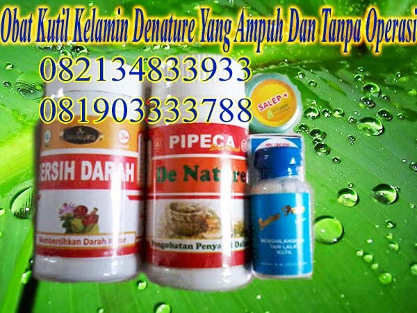 Obat Herbal Kutil Kemaluan Obat Herbal Kutil Kemaluan
