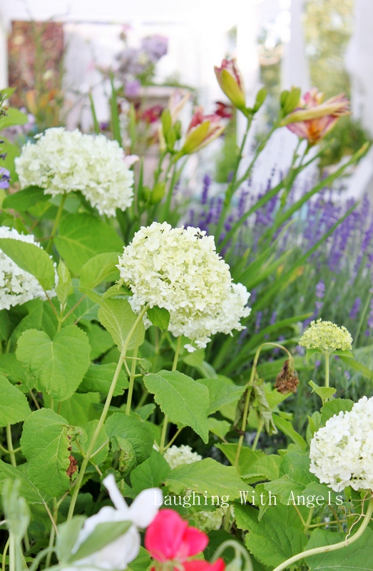 Grace Gardens MidJuly garden