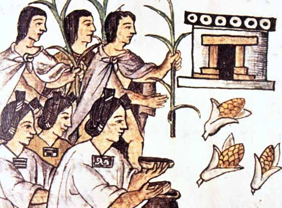 LA ALIMENTACION EN LA EPOCA PREHISPANICA la alimentacion en la epoca prehispanica:
