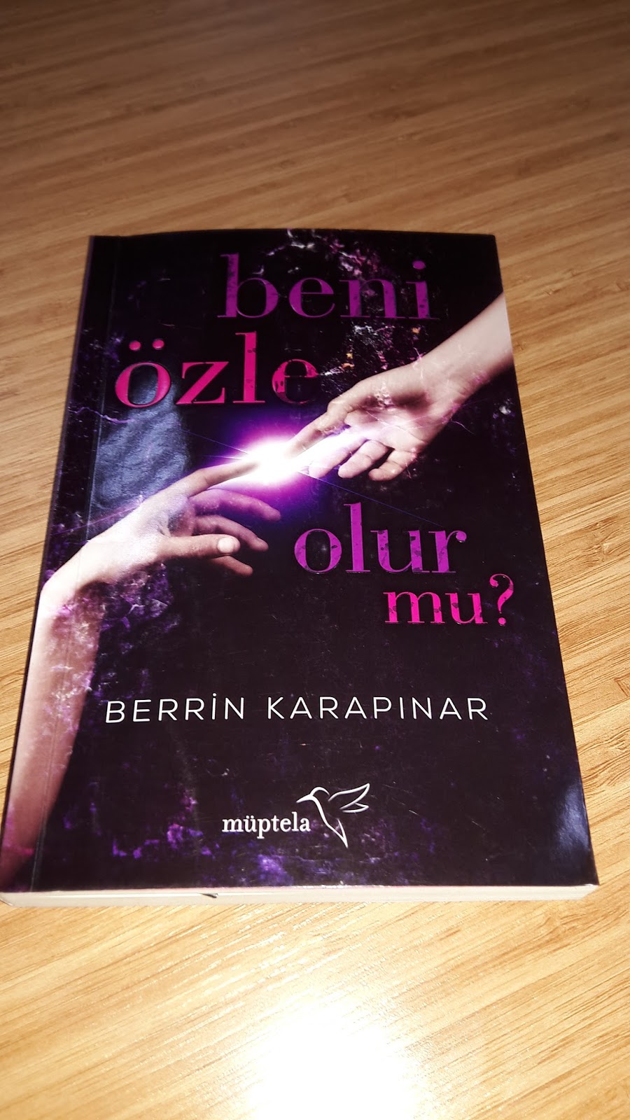 elsa nin kitapligi blogger