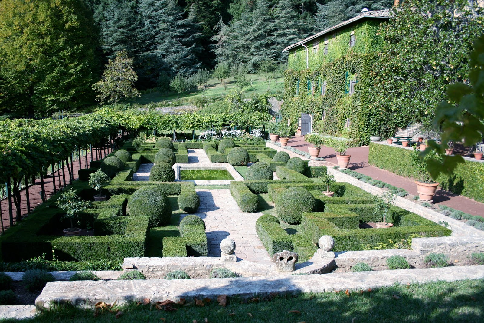 Fantasy Nursery Hedges