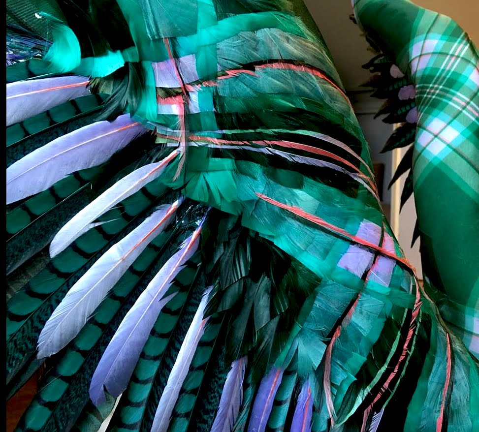 Feathers  close up