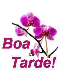 Boa tarde!