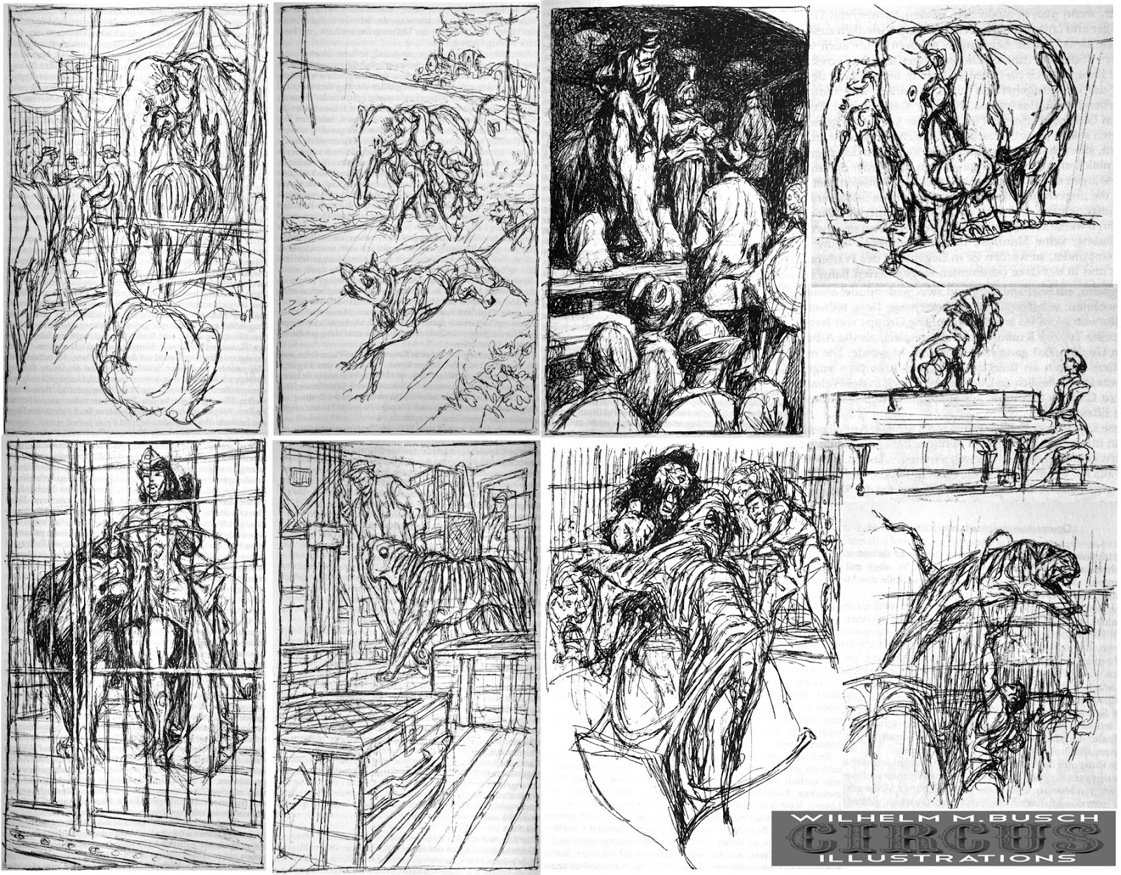 Shedworking Henhouse Converted Into Garden Office