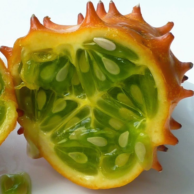 Growing Our Food Found A Cucumber with Very Sharp Spikes In The Garden