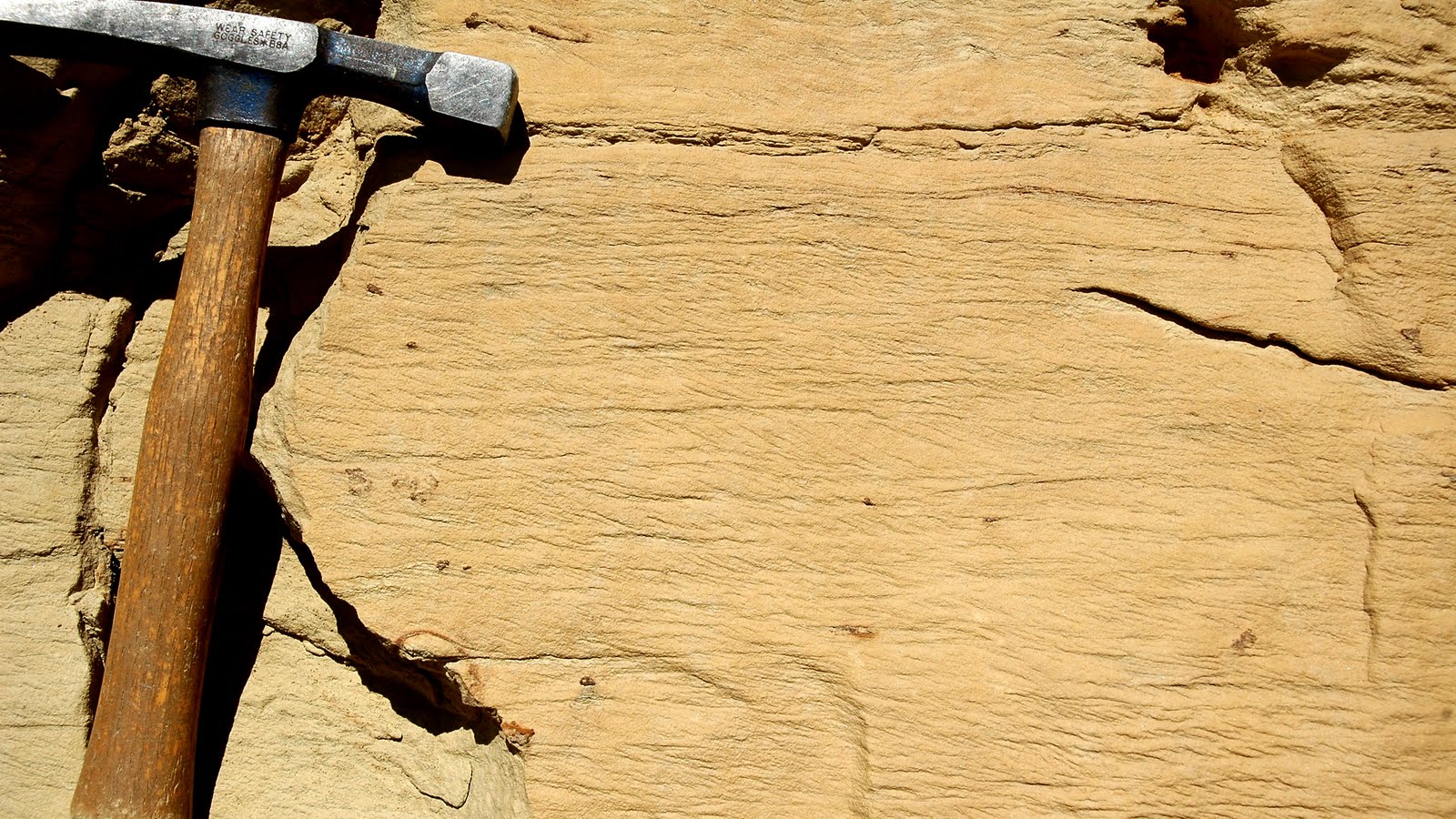 Sedimentary Structures and Bedforms