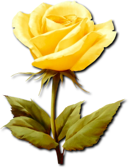 Resultado de imagen para tres rosas amarillas png