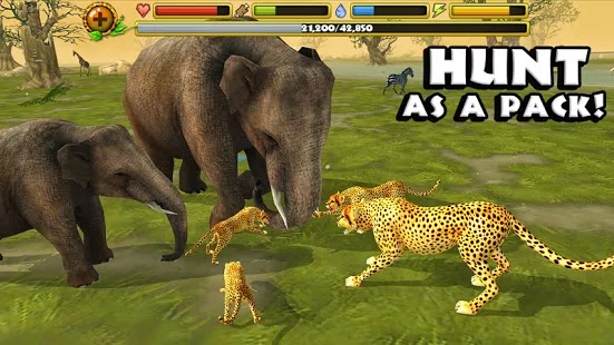 Cheetah Simulator Apk Cheetah Simulator