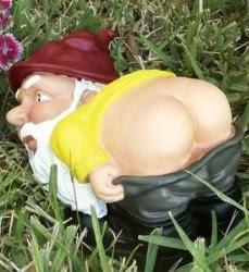 Garden gnome drops pants, moons