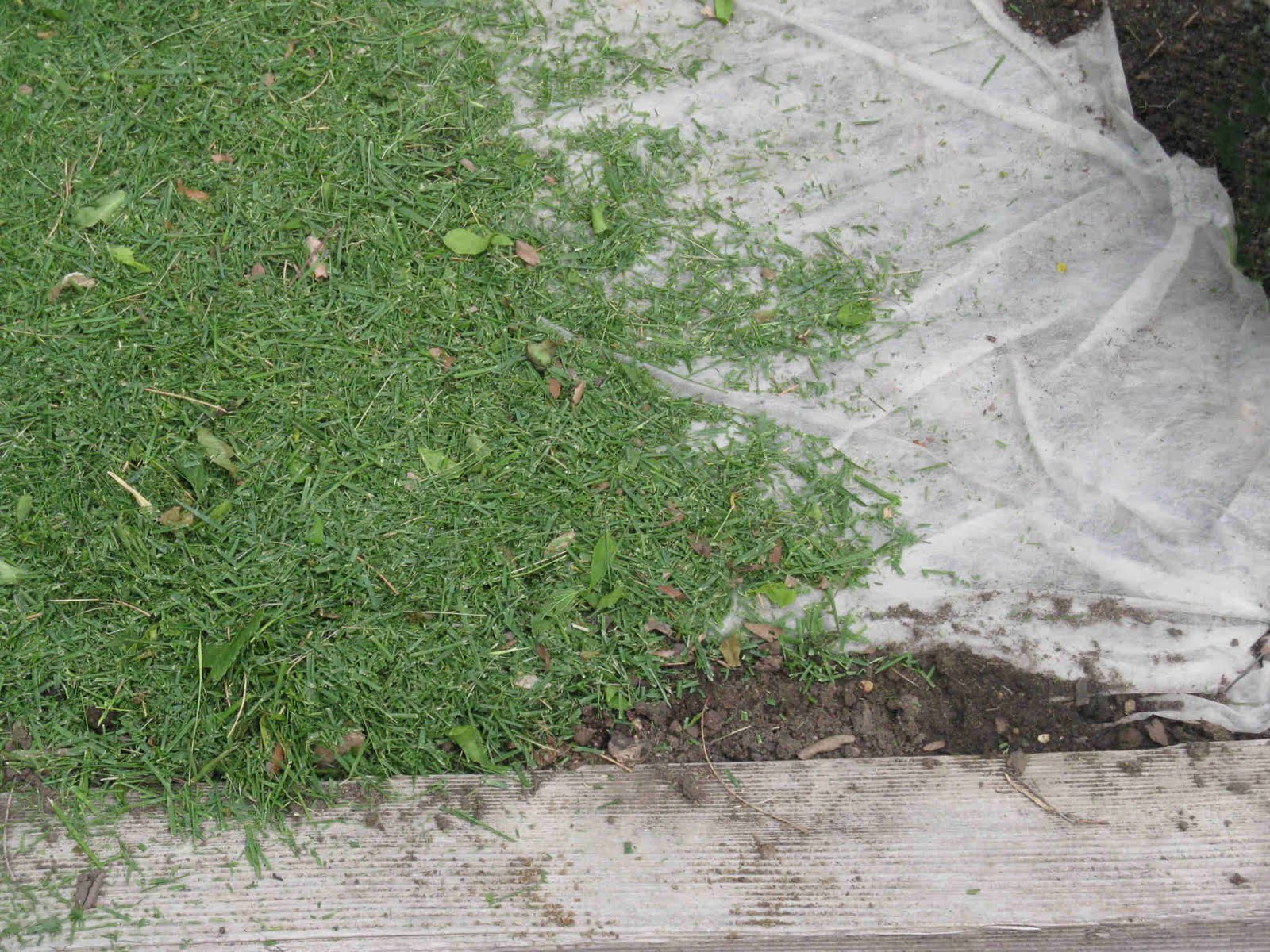 Front Range Food Gardener To Mulch or Not