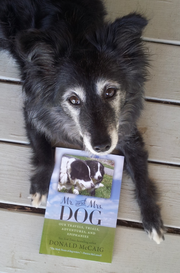 The Days of Johann, an agility dog! Book Review Mr. and Mrs. Dog by