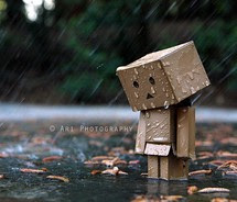 Danbo on If One Day I Really Don T Care Of Everything