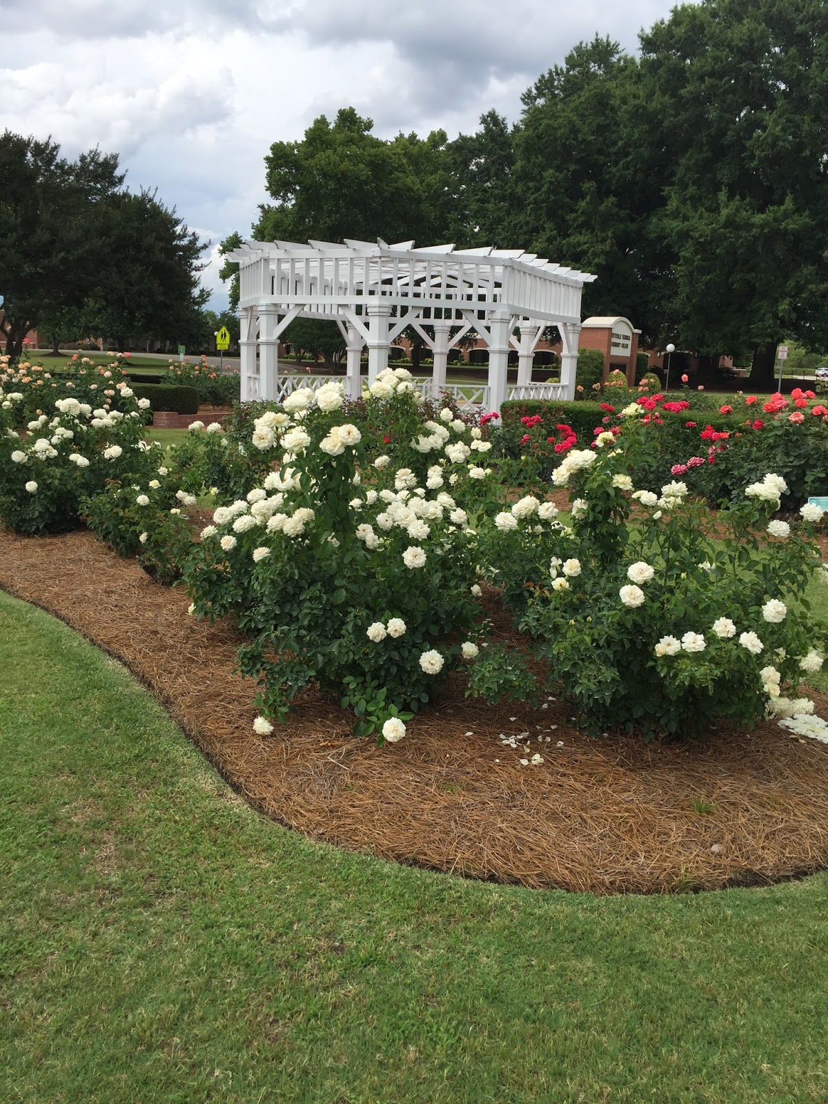 Fayetteville Rose Garden