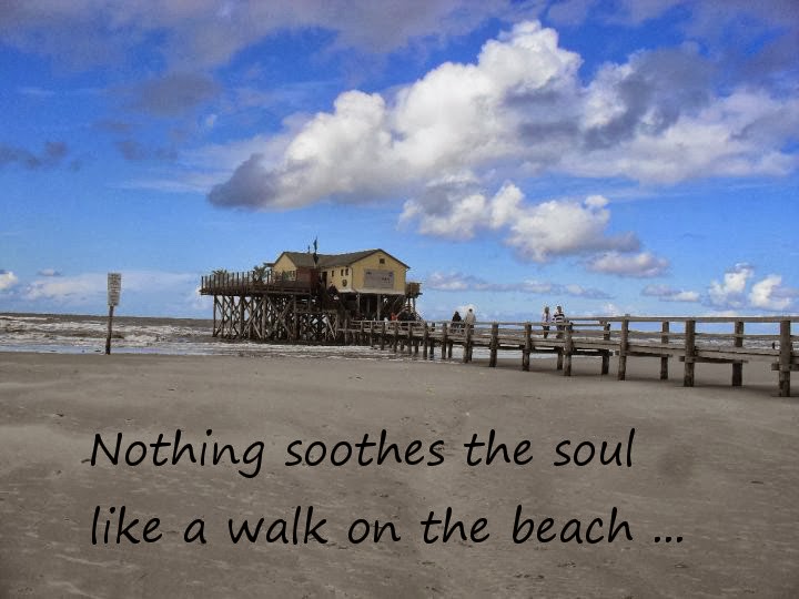 Silvio Berlusconi Wikipedia