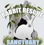 Rabbit Rescue Sanctuary