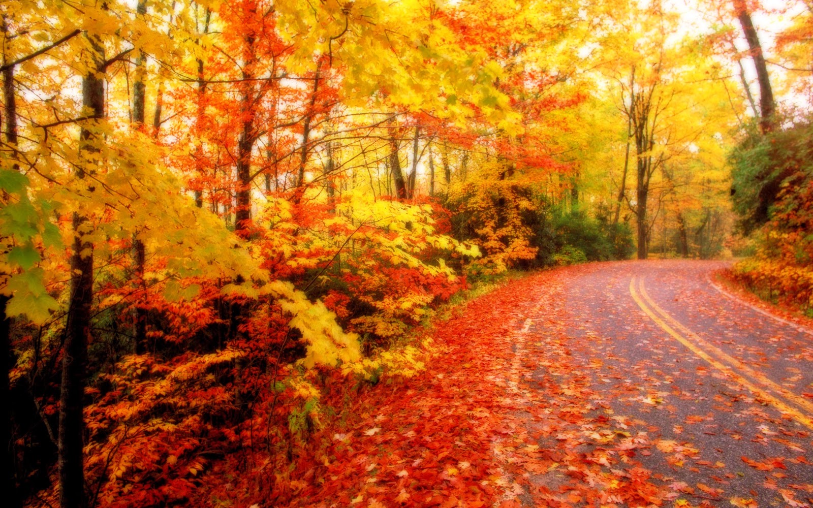 Latest Top HD Autumn Wallpapers | HDIMAGESPLUS
