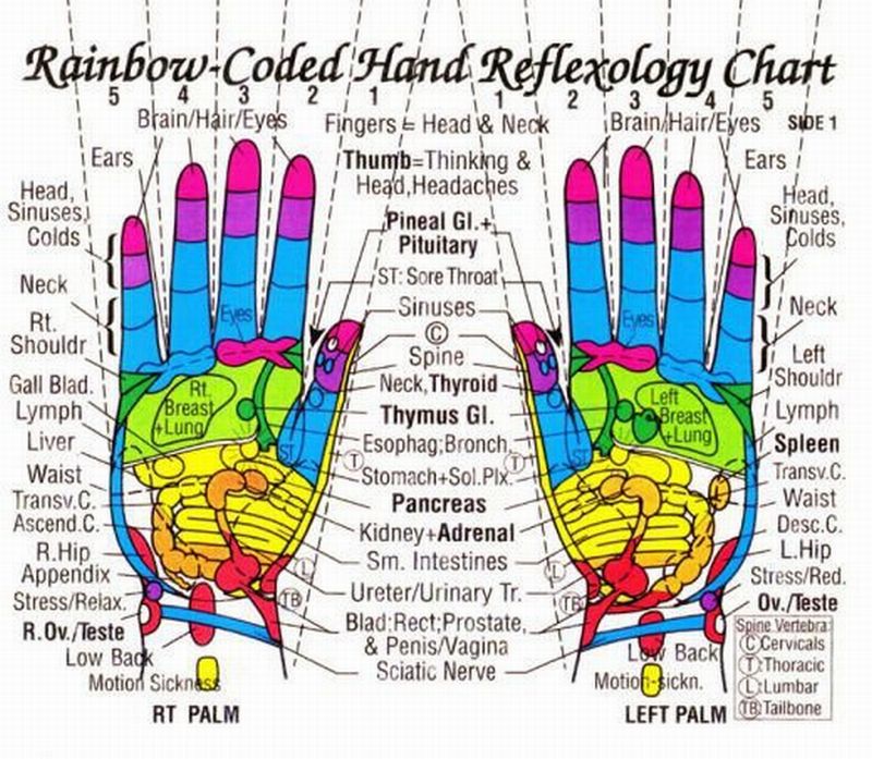 Acupressure Points On Palm Chart