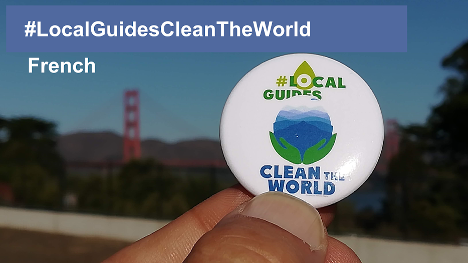 Local Guides Clean the World project