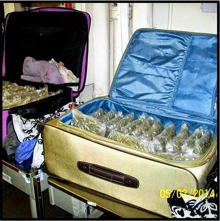 81 Pounds of Marijuana (OAK) 81 Pounds of Marijuana (OAK)