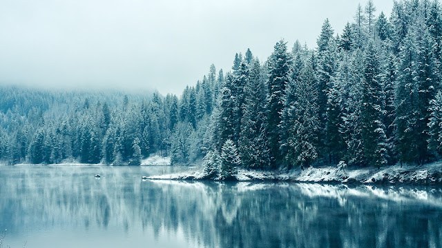 British Columbia Lakes In Winter