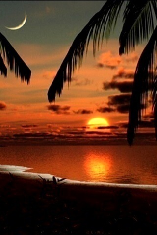 iphone wallpaper background