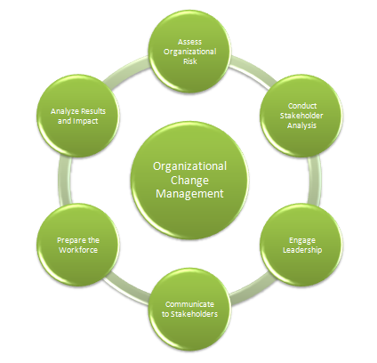 organizational change management process pdf