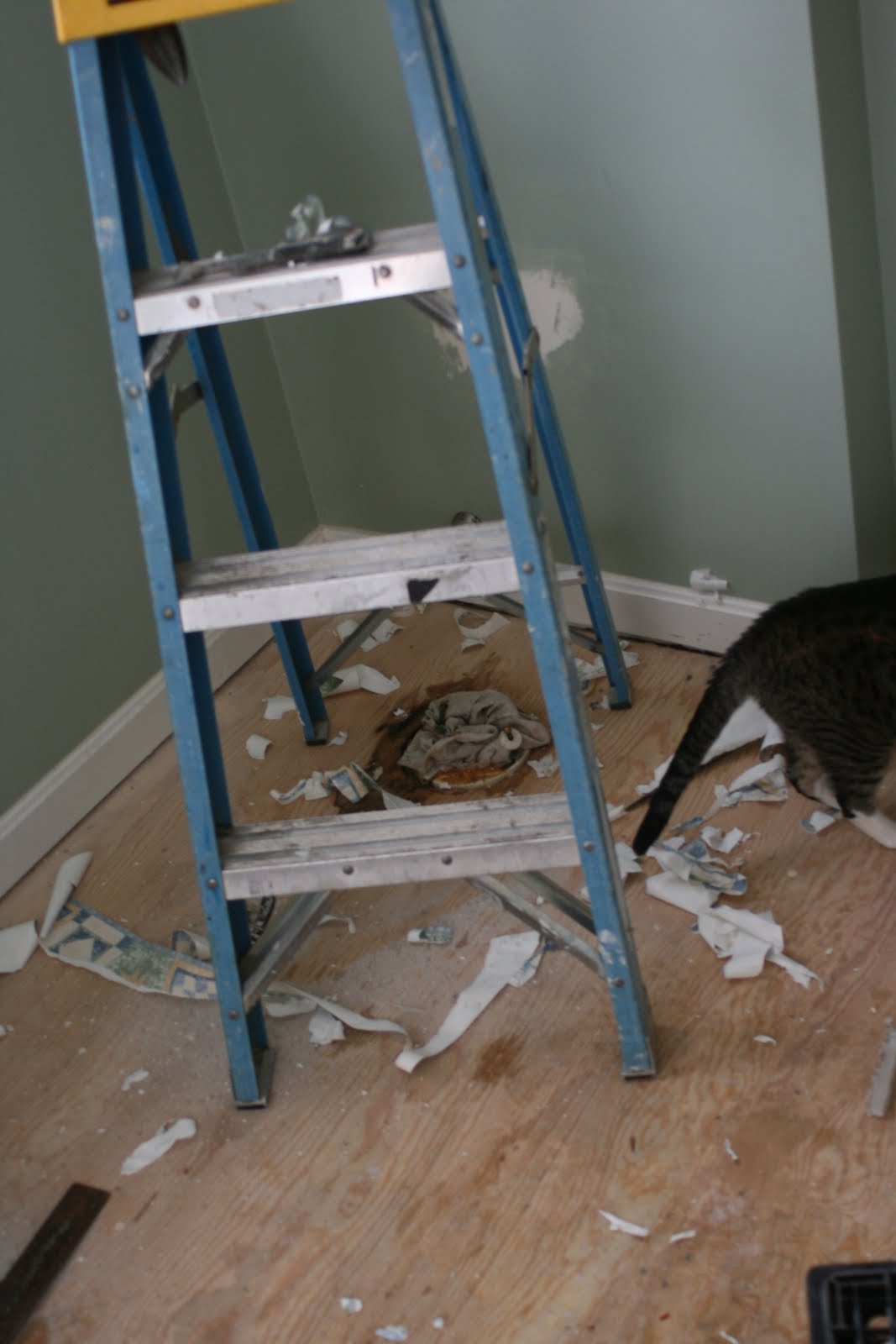 Bathroom Reno Day #1in pictures