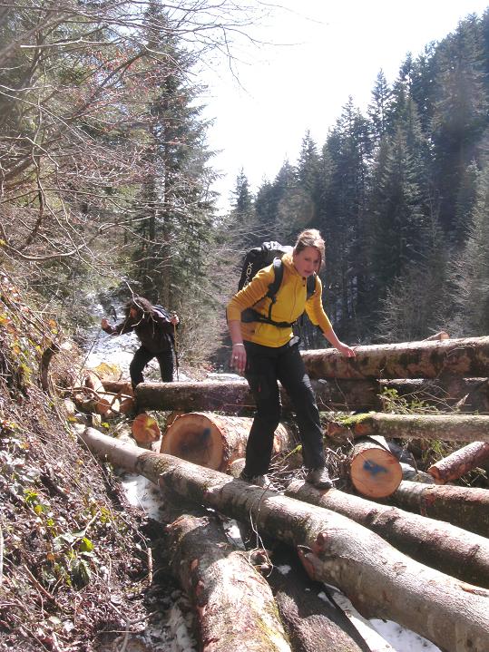 Frau Antje Goes Webware Rums Kleine Fluchten Bloglovin