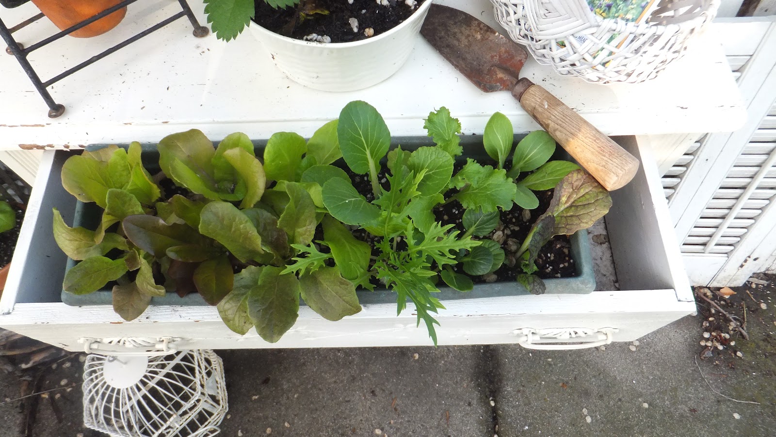 Ash Tree Cottage My Herb Garden Potting Bench