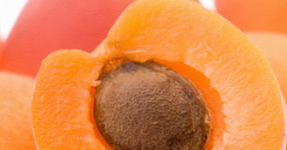 LASIK HEALTHY EYES แอปริคอท ผลไม้เพื่อสุขภาพ Benefits of Apricots