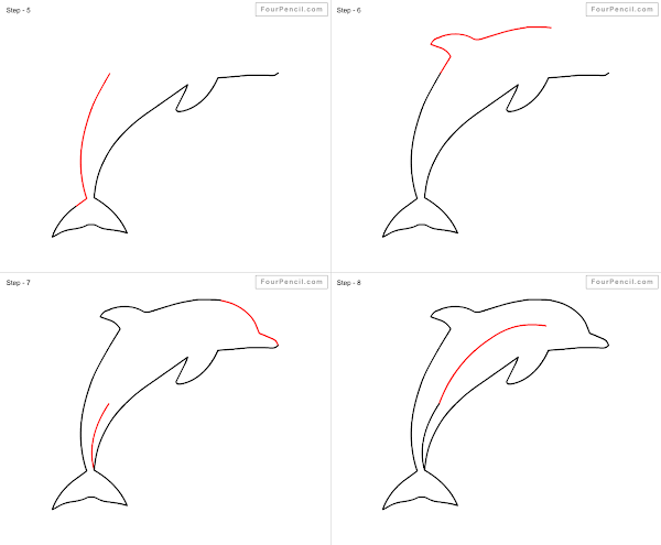 How to draw cartoon Dolphin - slide 3