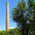 old chimney between vegetation