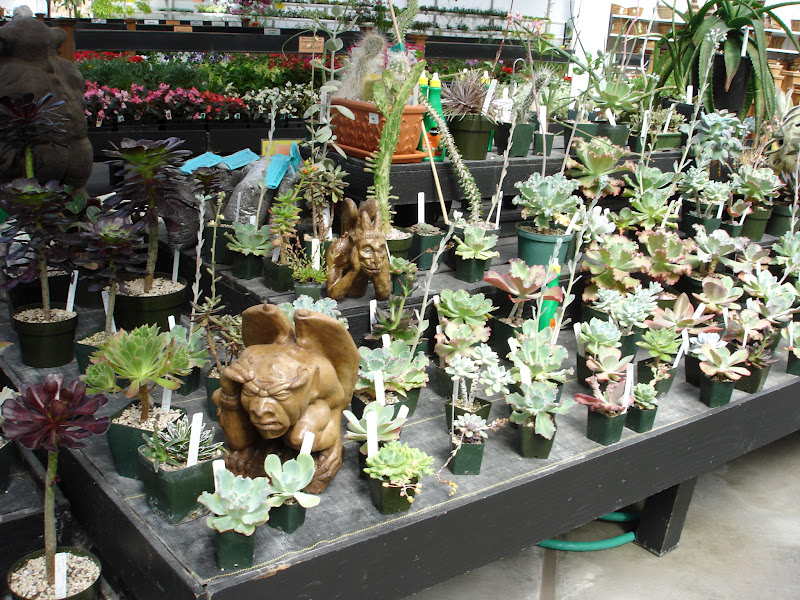 The Outlaw Gardener Watson's Nursery Tent Sale