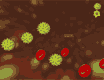 JOGO DE MÉDICO Jogo de médico destrua os vírus