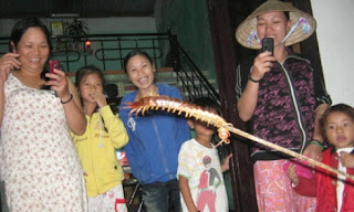 Kelabang (Lipan) Terbesar Di dunia Kelabang (Lipan) Terbesar Di dunia