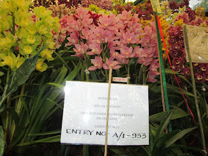 Gangtok Orchid Flower Show.
