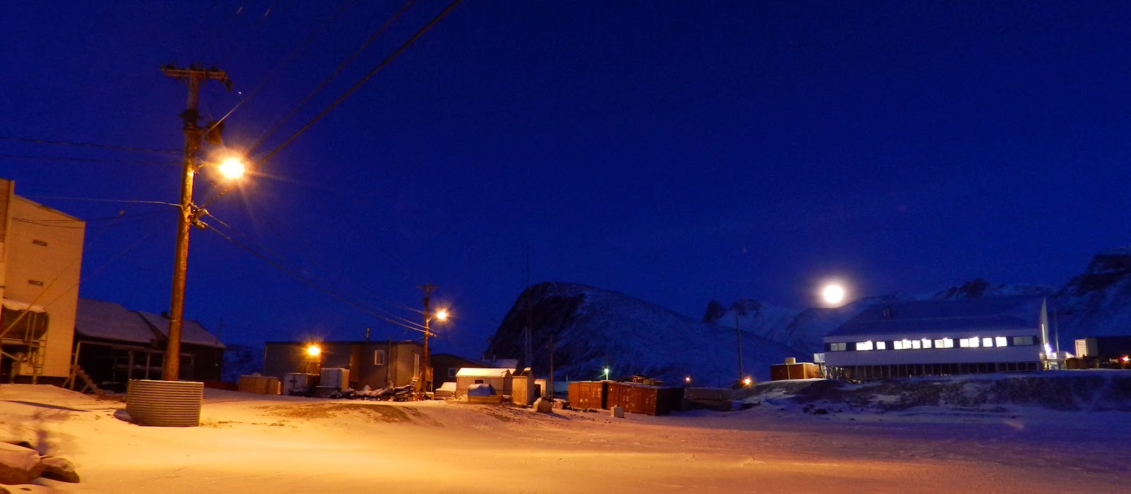Elfshot Moonlit Grise Fiord