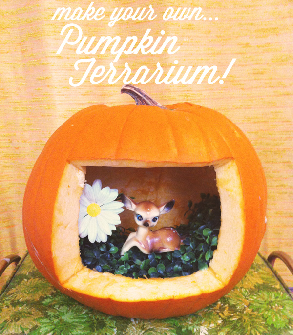Oh So Lovely Vintage DIY Pumpkin Terrarium!