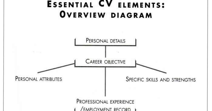 Cv writing service auckland