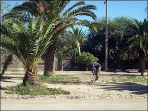 Avenida San Martín