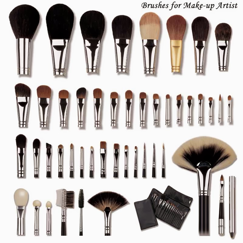 Best Makeup Choice Makeup Brushes and Their Uses