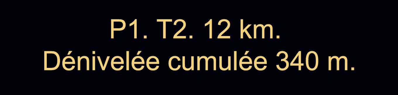 P1 T2