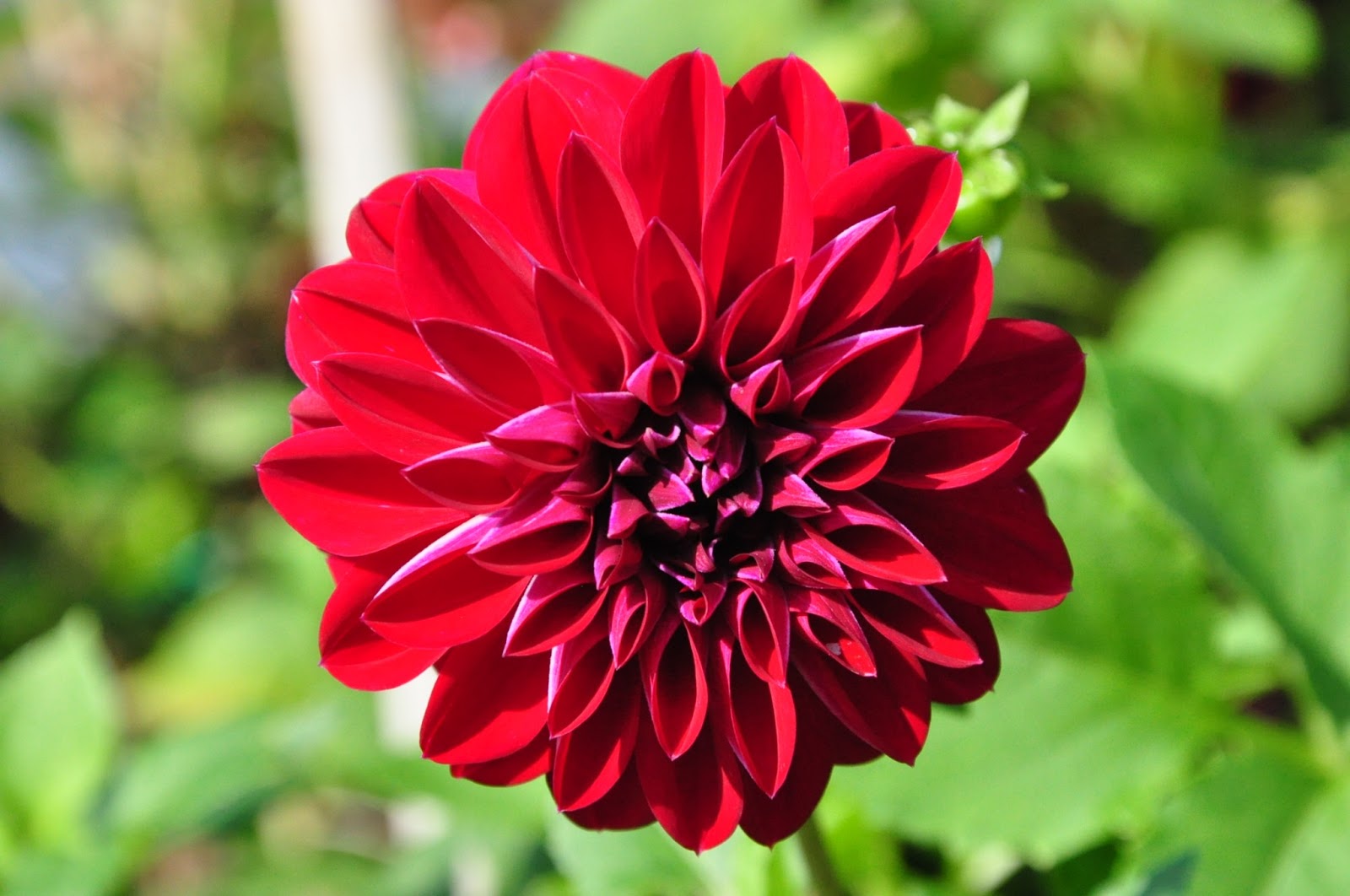 Oo00oo Winter Garden Betong